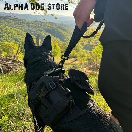 THE ALPHA DOG HARNESS - UNLEASH SUPERIOR CONTROL AND COMFORT!