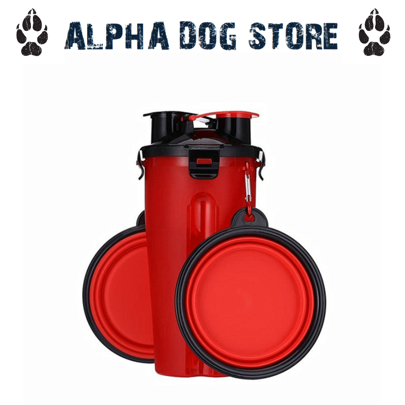 EXPLORE REFUEL COMBO BOTTLE Alpha Dog Store