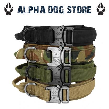 Blue Alpha COBRA Buckle Dog Collar
