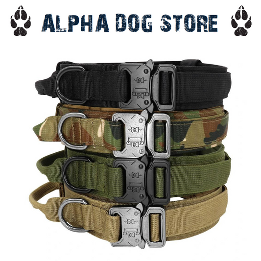 THE ALPHA DOG COLLAR - ELEVATE YOUR DOG'S STYLE AND SAFETY!