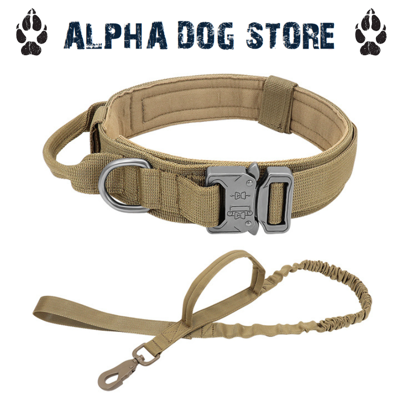 The dog shop collar store