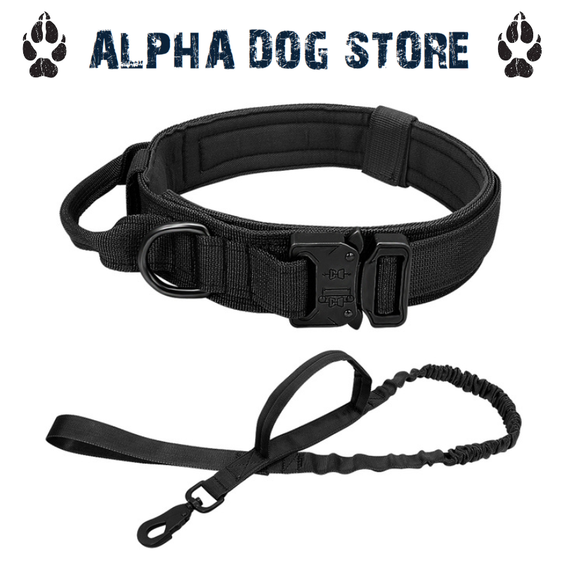 The dog shop collar store