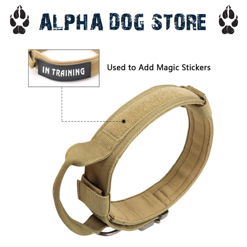 The dog collar on sale store