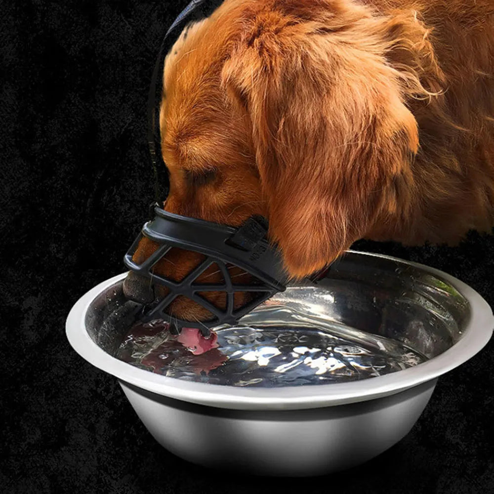 Dog muzzle sales drink water